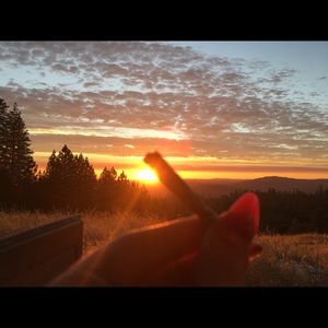 Meet your Posher, Avery